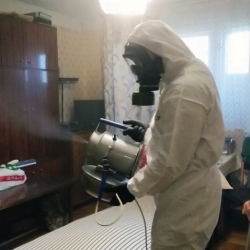 Дезинфекция от клопов в Новочеркасске